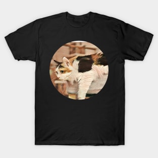 Fun floppy cat T-Shirt